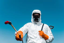 Best Termite Inspection and Treatment  in Woodburn, VA